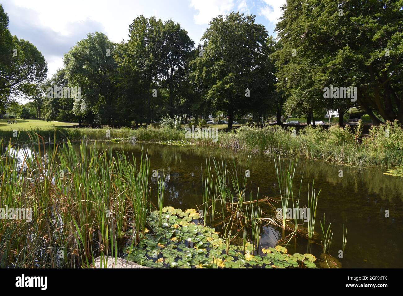 Teich im Schönower Park, BerlinZehlendorf, Germany Stock Photo Alamy