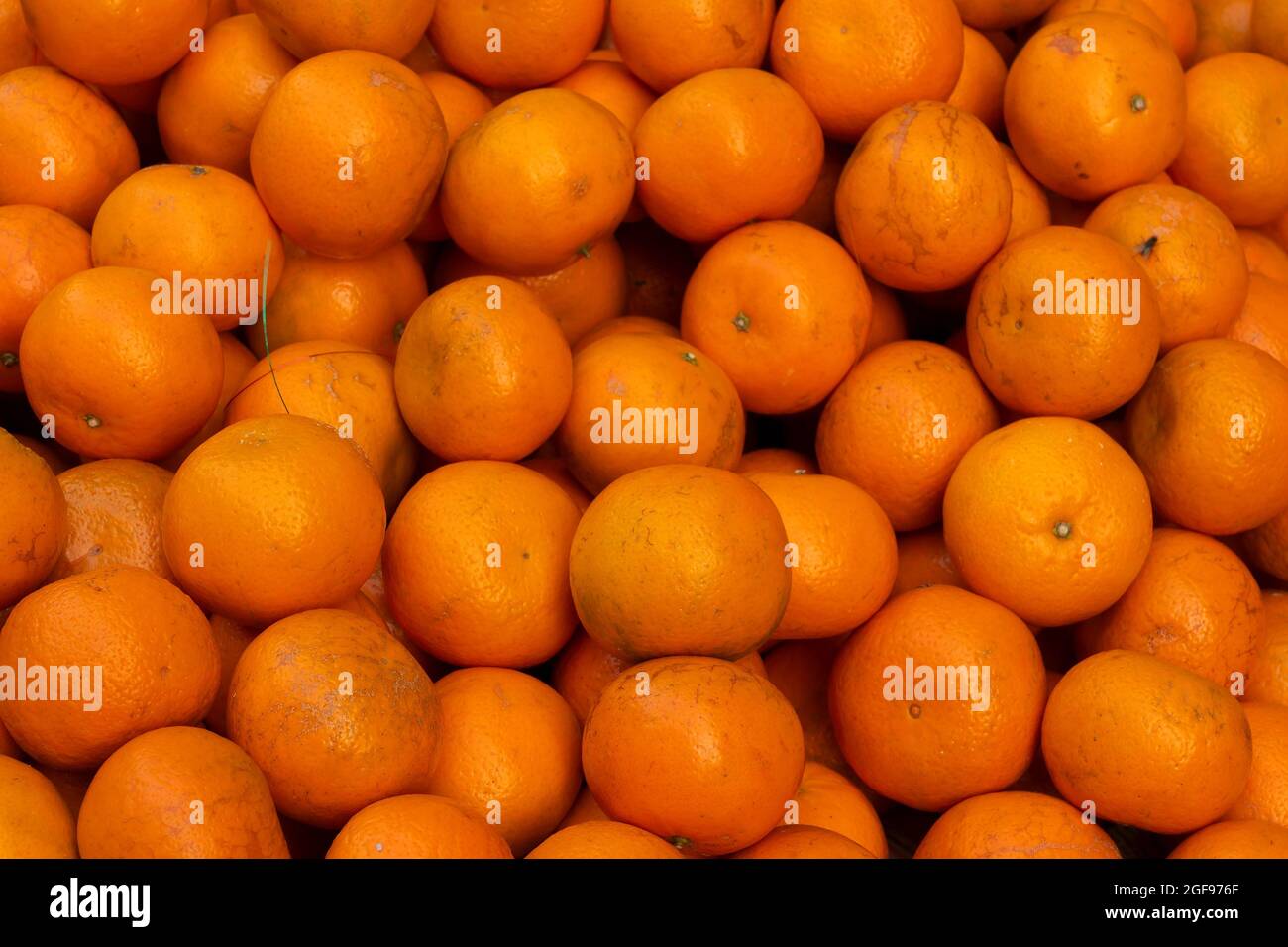 Orange or sweet orange, fruits, family Rutaceae, are displayed for sale at New Market area, Kolkata, India. Stock Photo