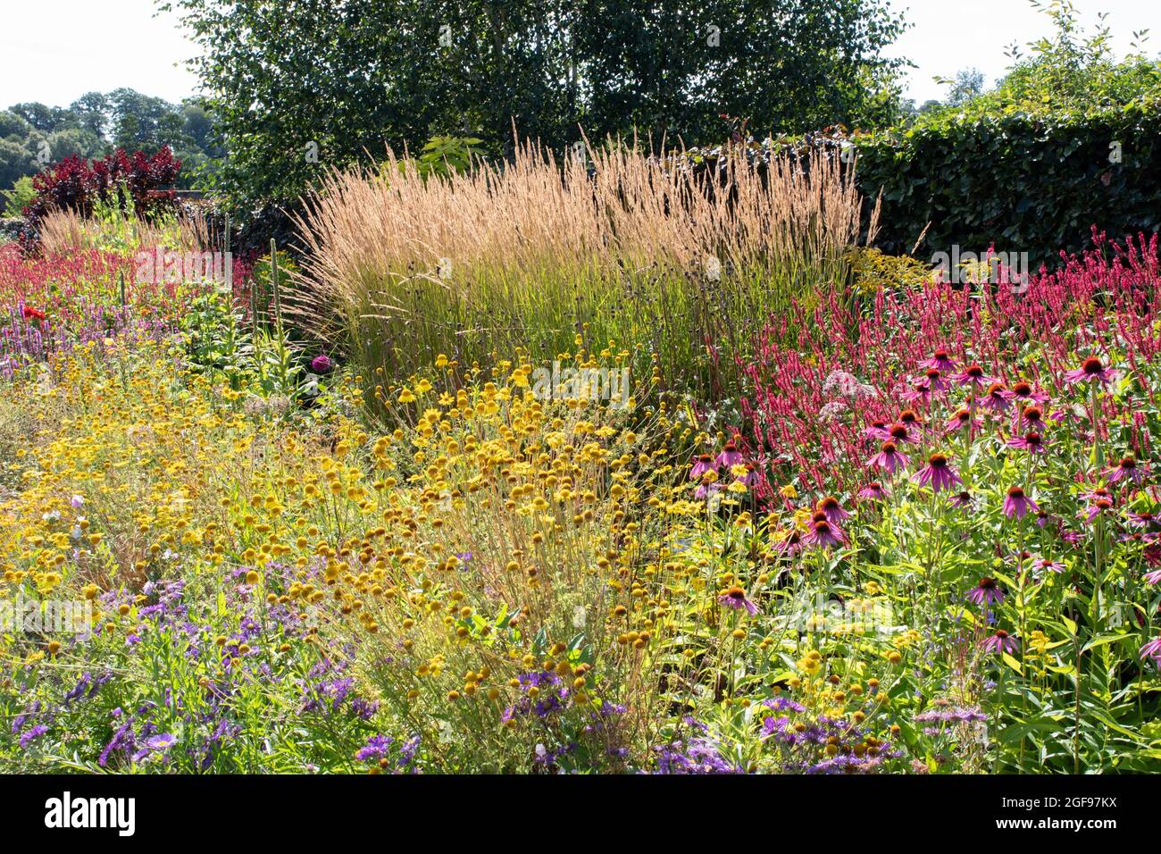 The Hot Border at Helmsley Walled Garden Stock Photo
