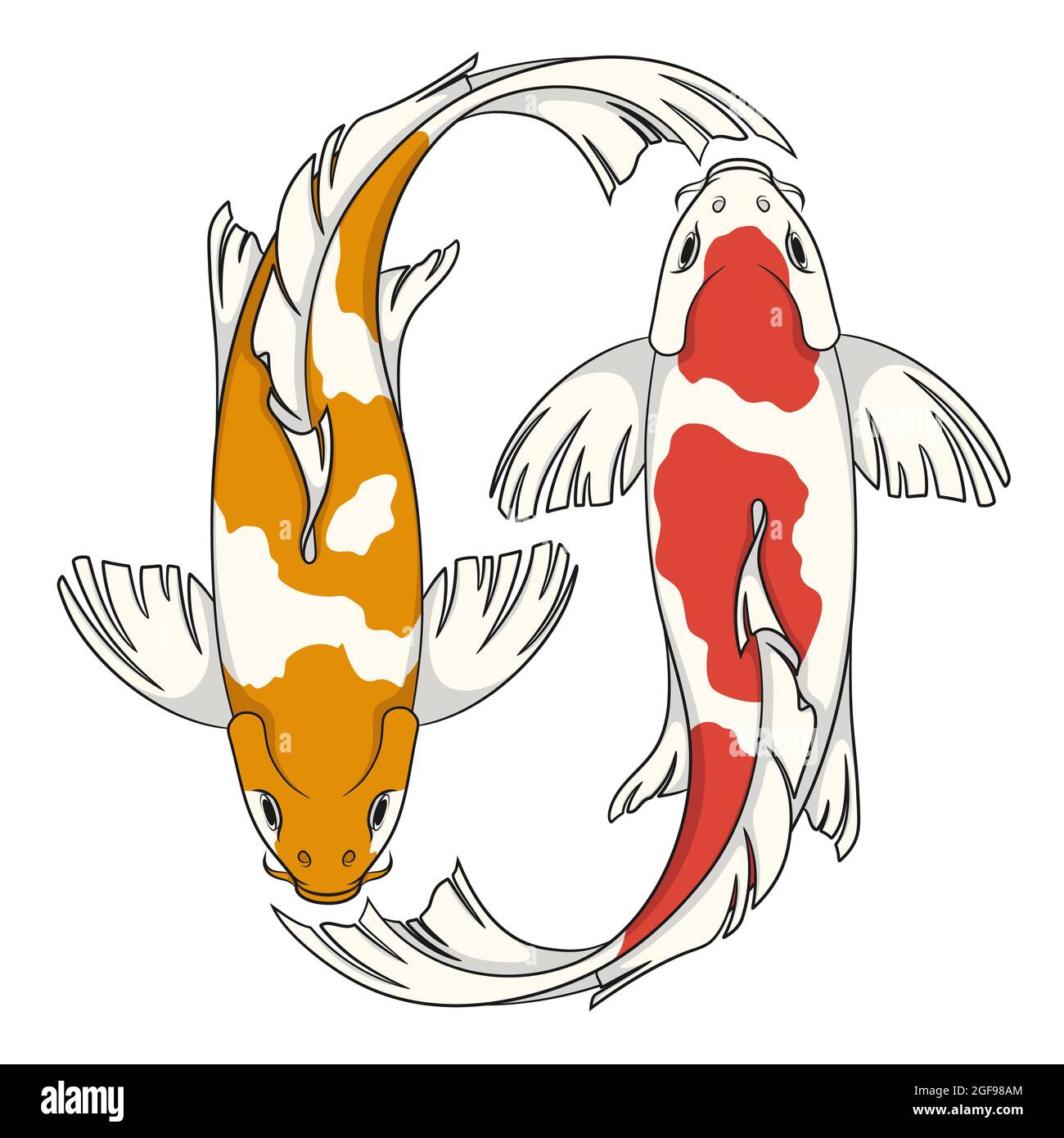 Colored vector illustration with koi carps. Isolated objects on white background. Stock Vector