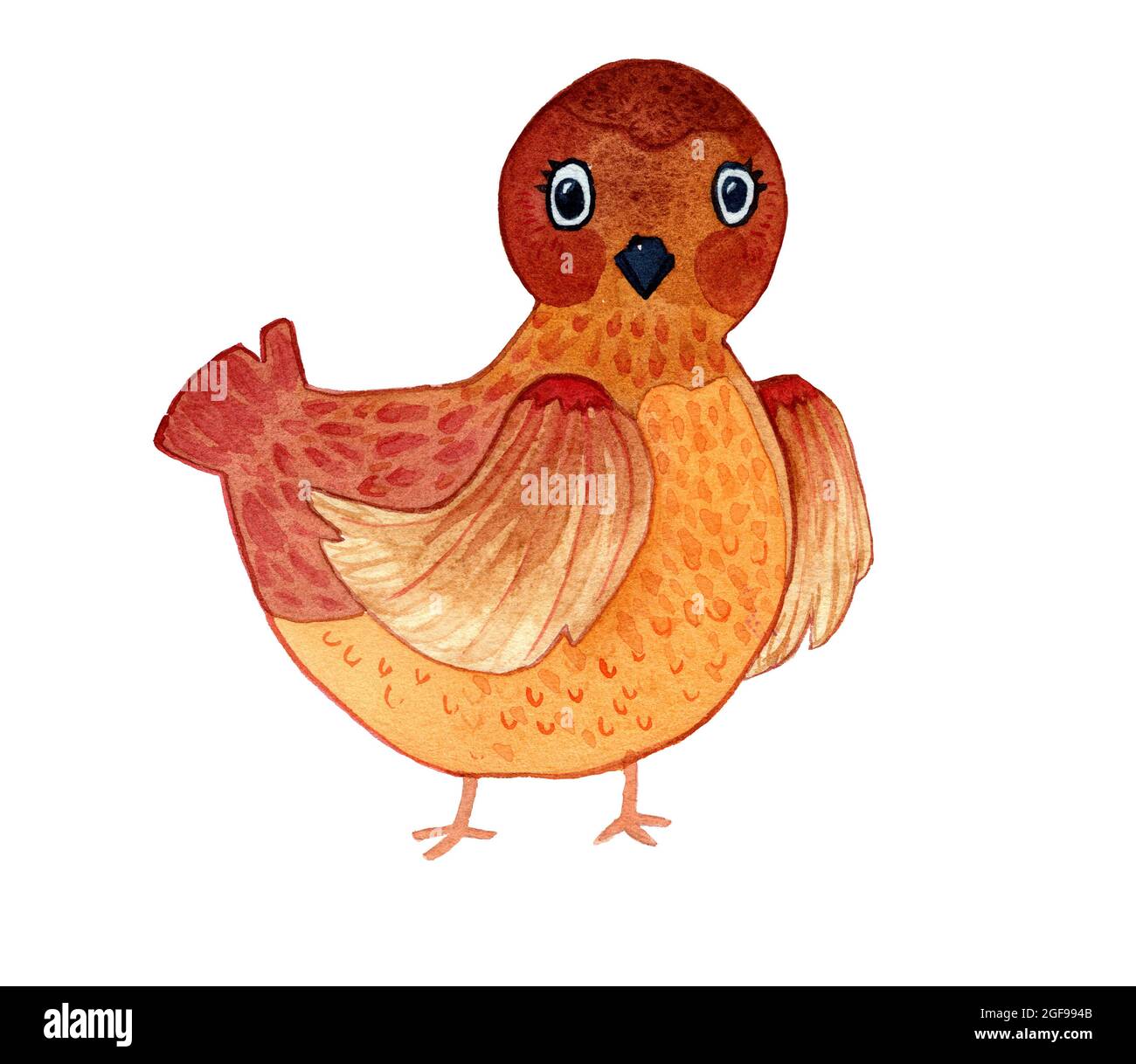 Watercolor hand-drawn illustration of brown hen isolated on white background. Sitting bird in cartoon style. Design for covers, backgrounds, decor Stock Photo