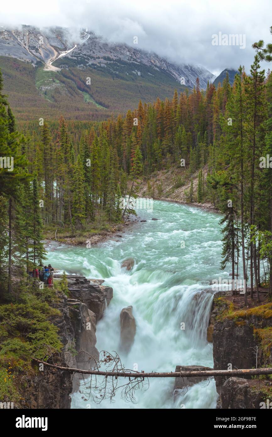 Aerial View Of Sunwapta River And Sunwapta Falls In Jasper National 