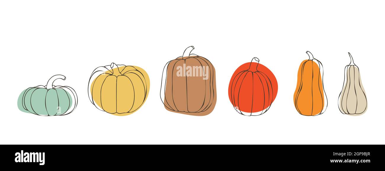Pumpkin set for Thanksgiving or Halloween day. Pumpkins in various sizes and colors. For autumn designs. Stock Vector