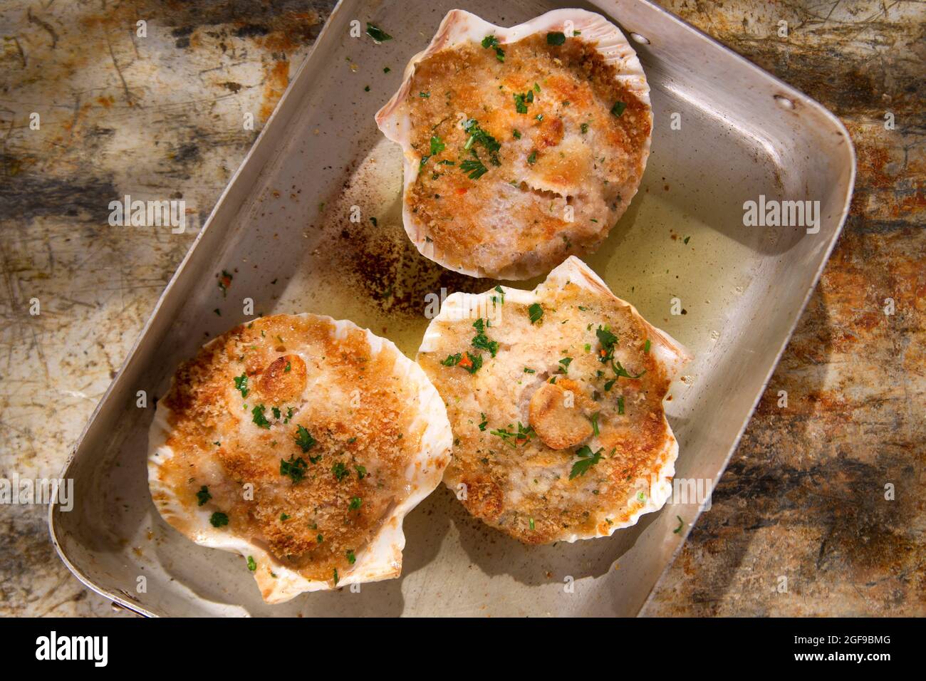 Presentation of scallops au gratin baked with parsley Stock Photo Alamy