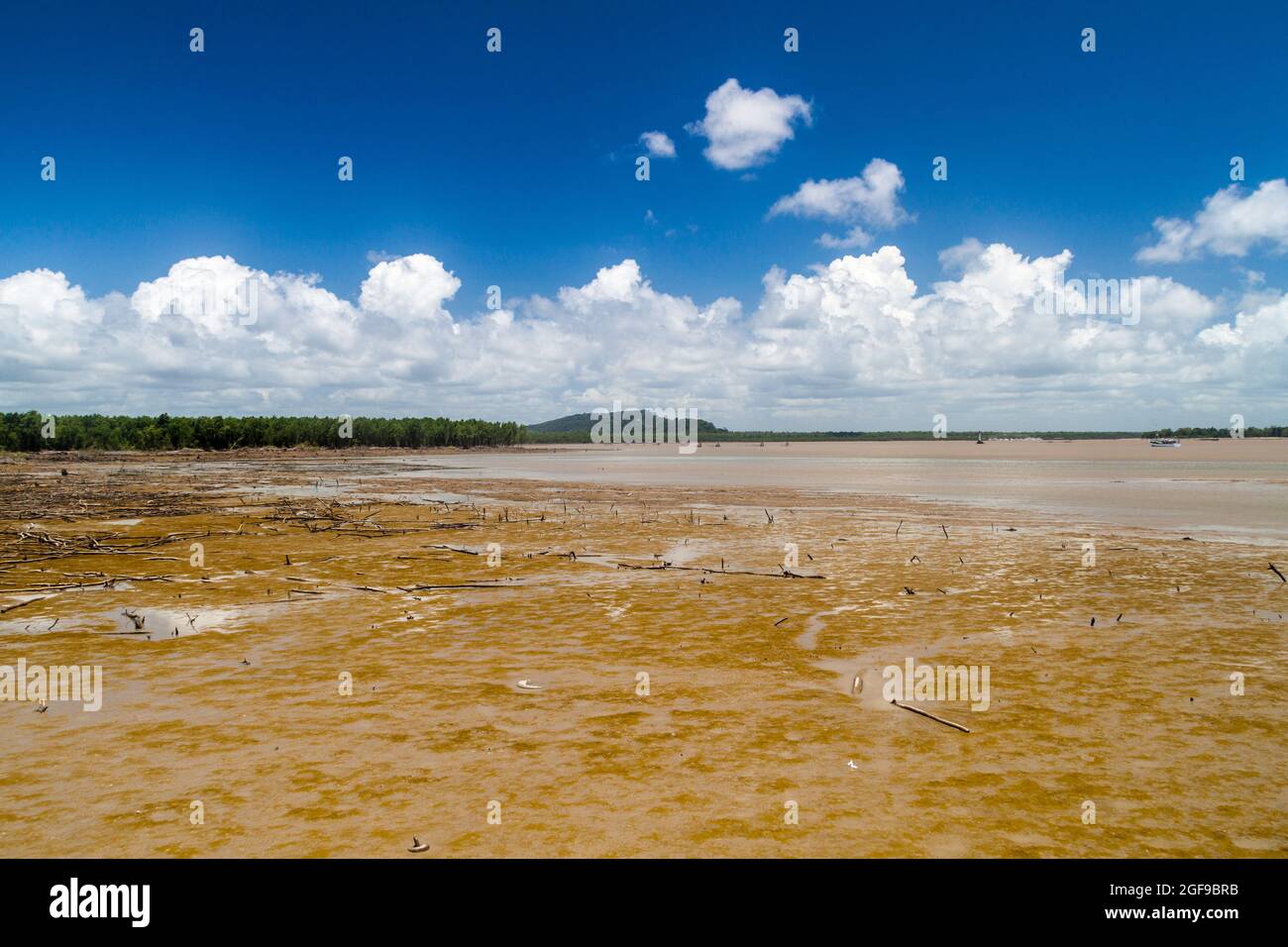 Cayenne river mouth during the low tide, French Guiana Stock Photo