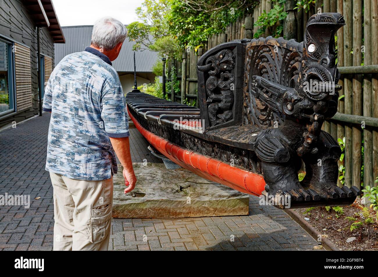 man examines Maori war canoe, decorative wood carving, ornate bow, black, native art, Te Puia Maori cultural center; Rotorua; New Zealand, MR, Stock Photo