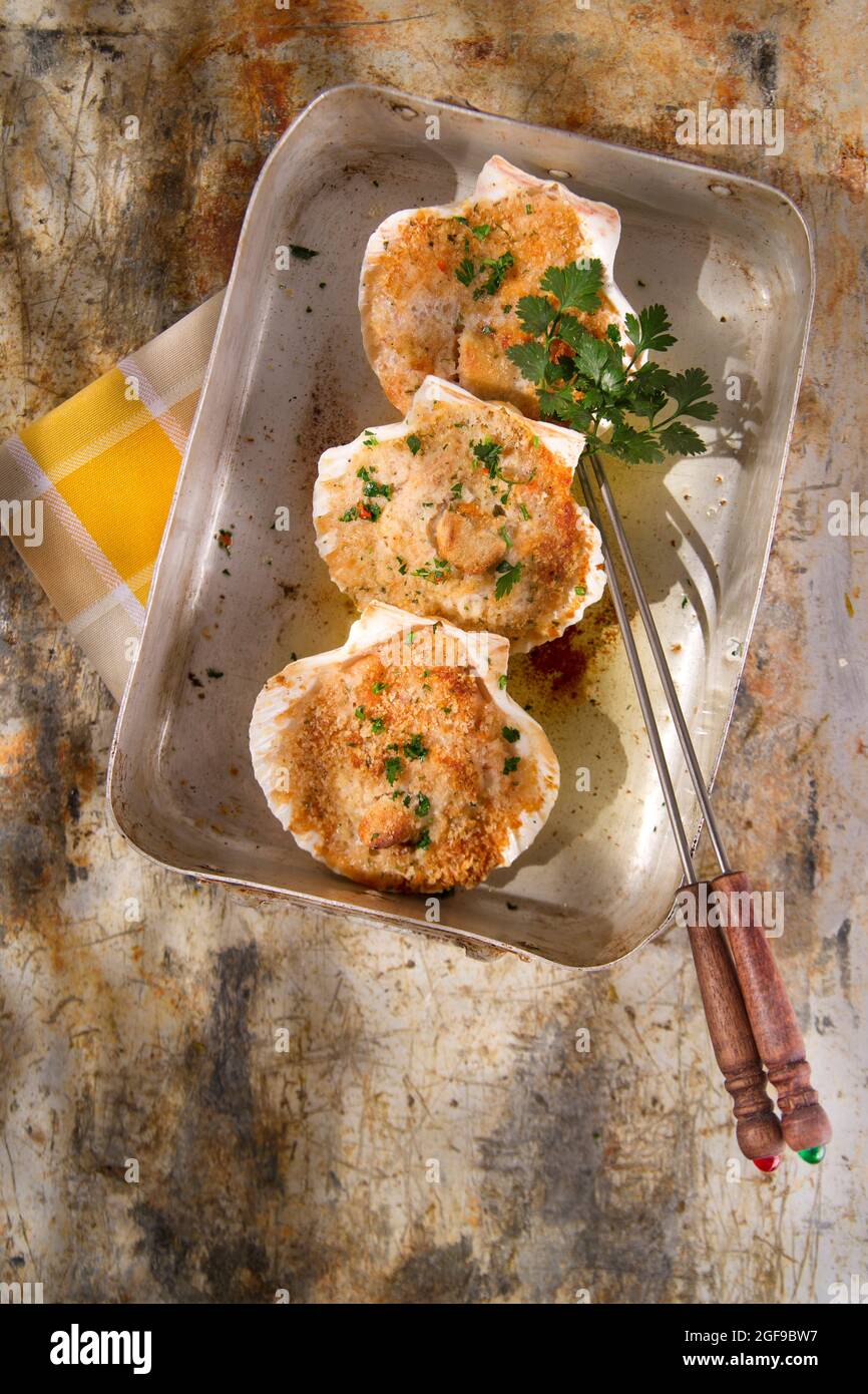 Presentation of scallops au gratin baked with parsley Stock Photo Alamy