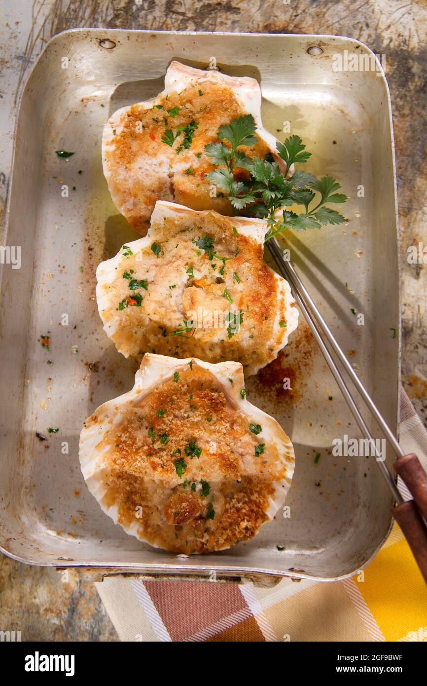 Presentation of scallops au gratin baked with parsley Stock Photo Alamy