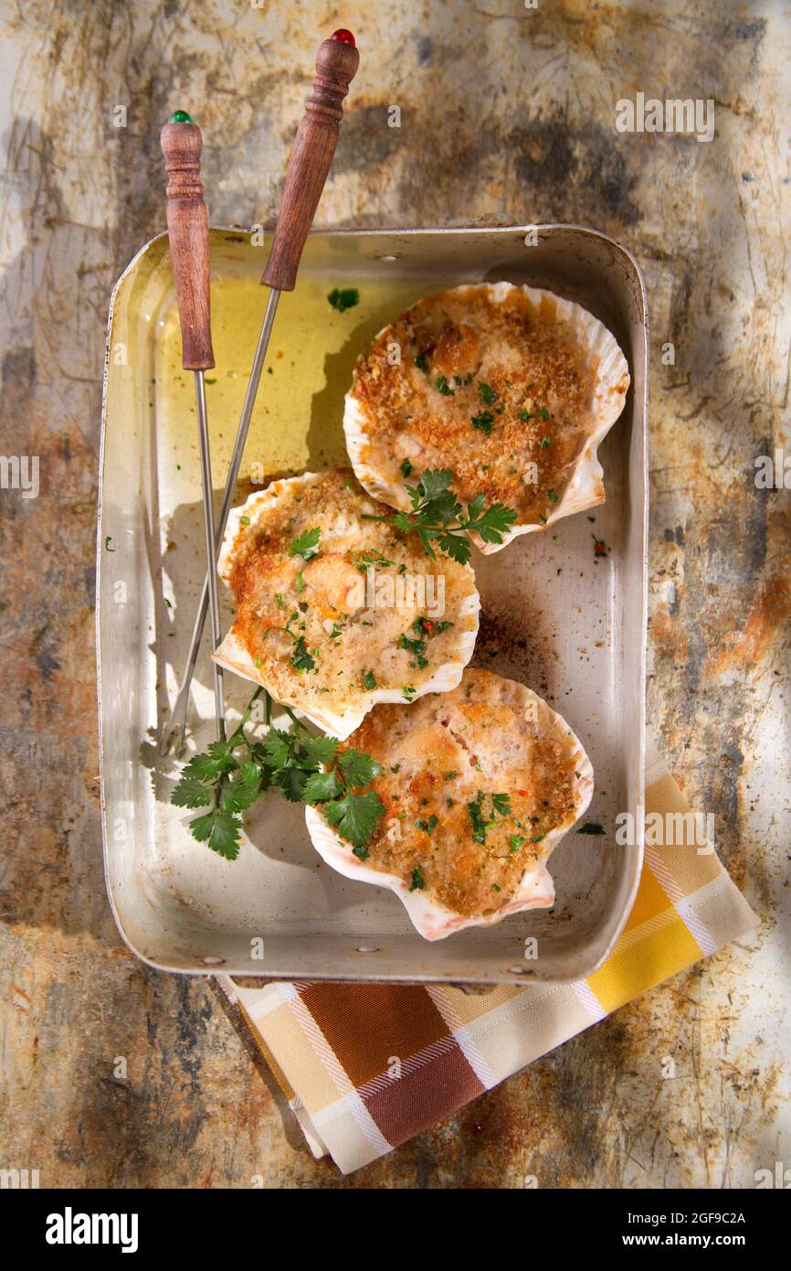 Presentation of scallops au gratin baked with parsley Stock Photo Alamy