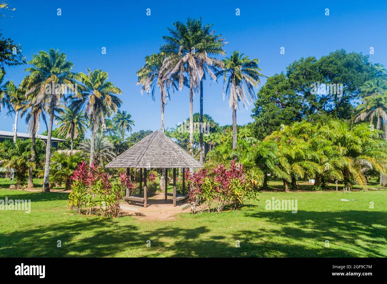 Botanical garden in Cayenne, capital of French Guiana Stock Photo Alamy