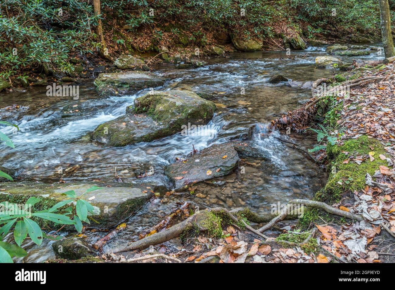 Closeup view of the water rushing around and over the rocks and boulders of the river flowing downstream in the mountains in autumn Stock Photo