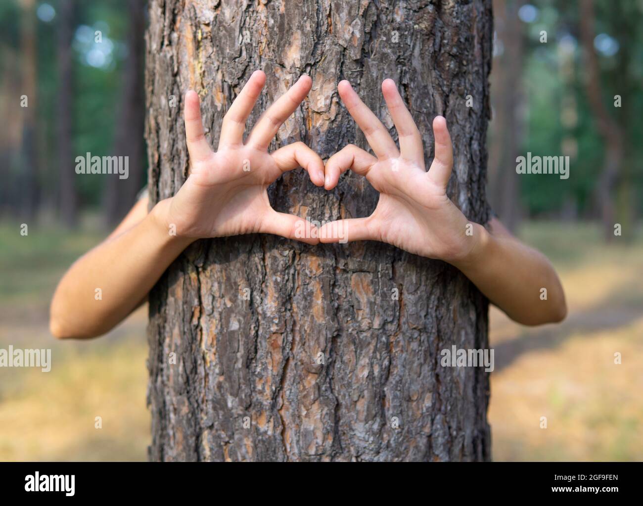 Female hugging a tree and making a heart symbol with hands Stock Photo ...