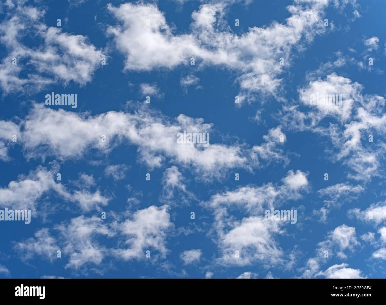 Small fleecy clouds, cirrocumulus, against a blue sky Stock Photo