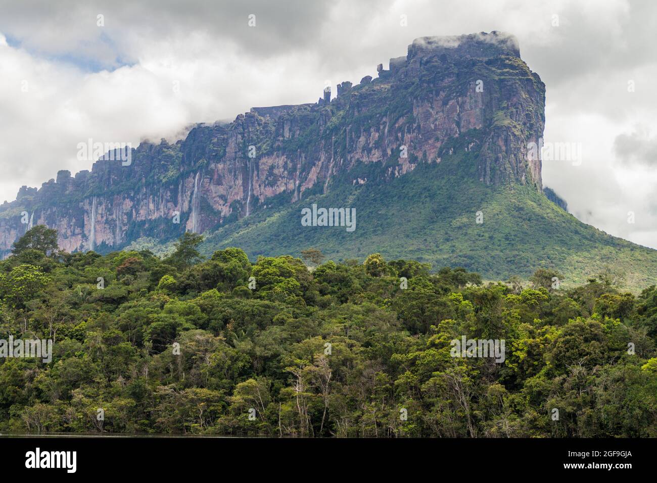Auyantepui table mountain in hires stock photography and images Alamy