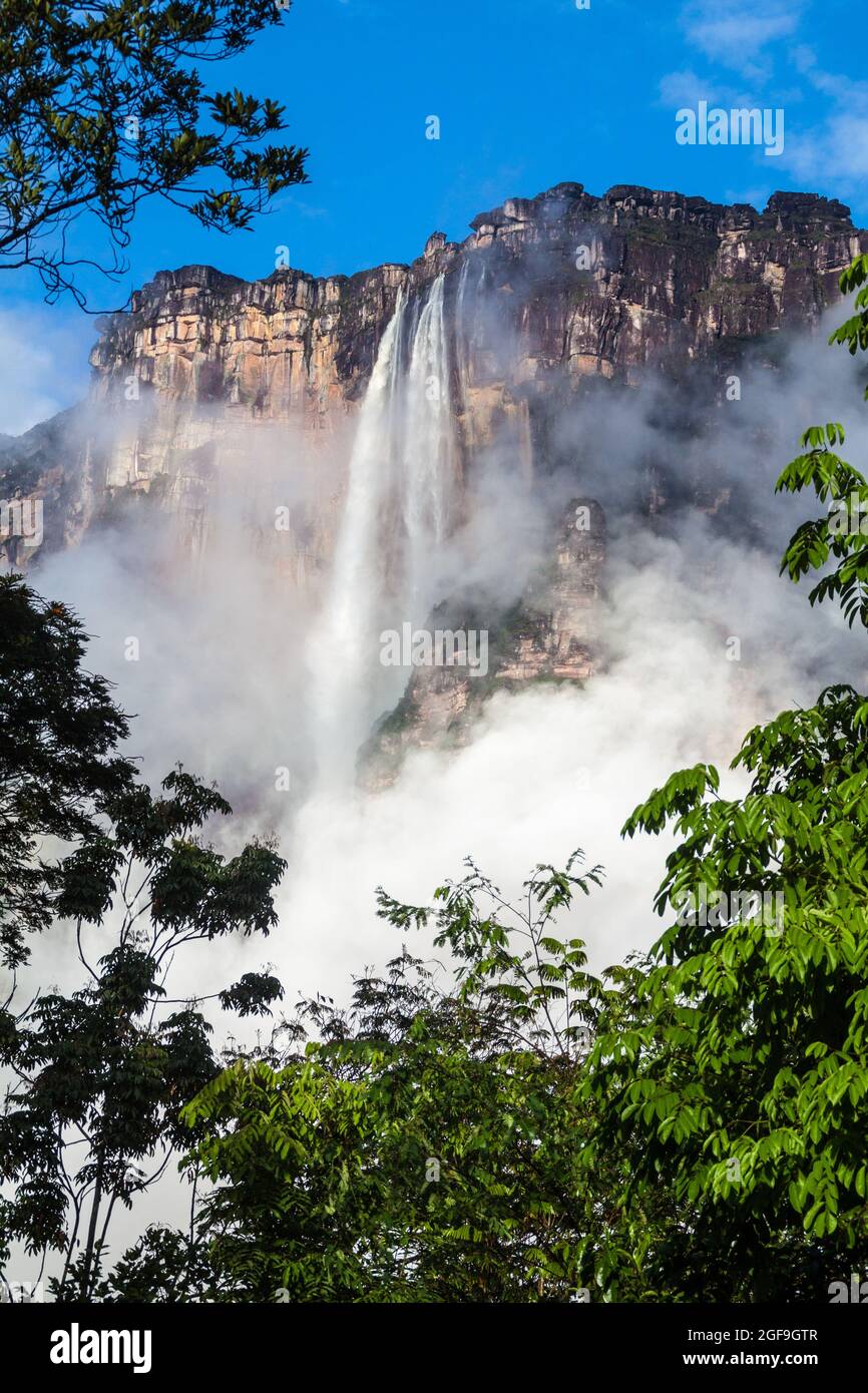 Angel Falls (Salto Angel), world's highest waterfall (978 m), Venezuela Stock Photo