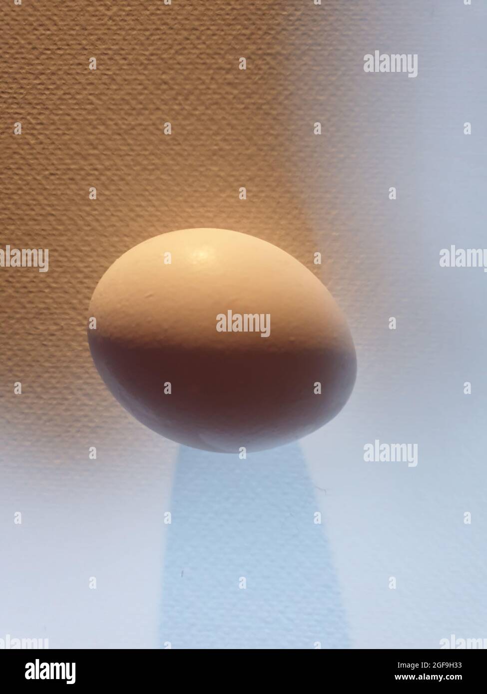Egg ovulation hi-res stock photography and images - Alamy