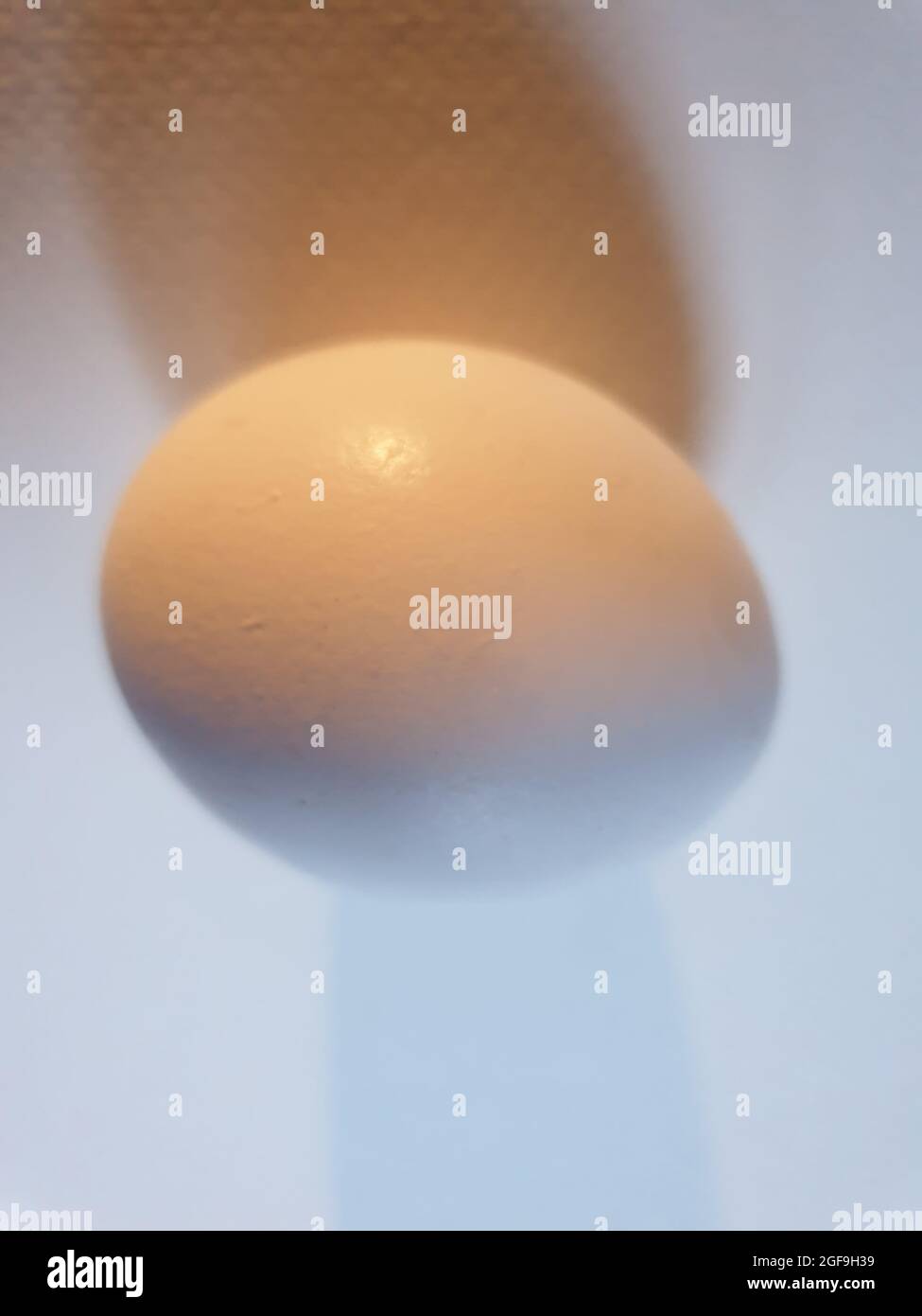 Egg ovulation hi-res stock photography and images - Alamy