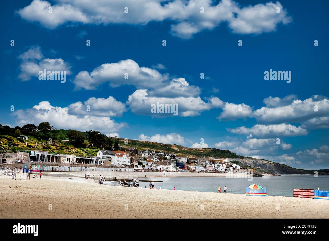 Lyme Regis Beach Stock Photo Alamy
