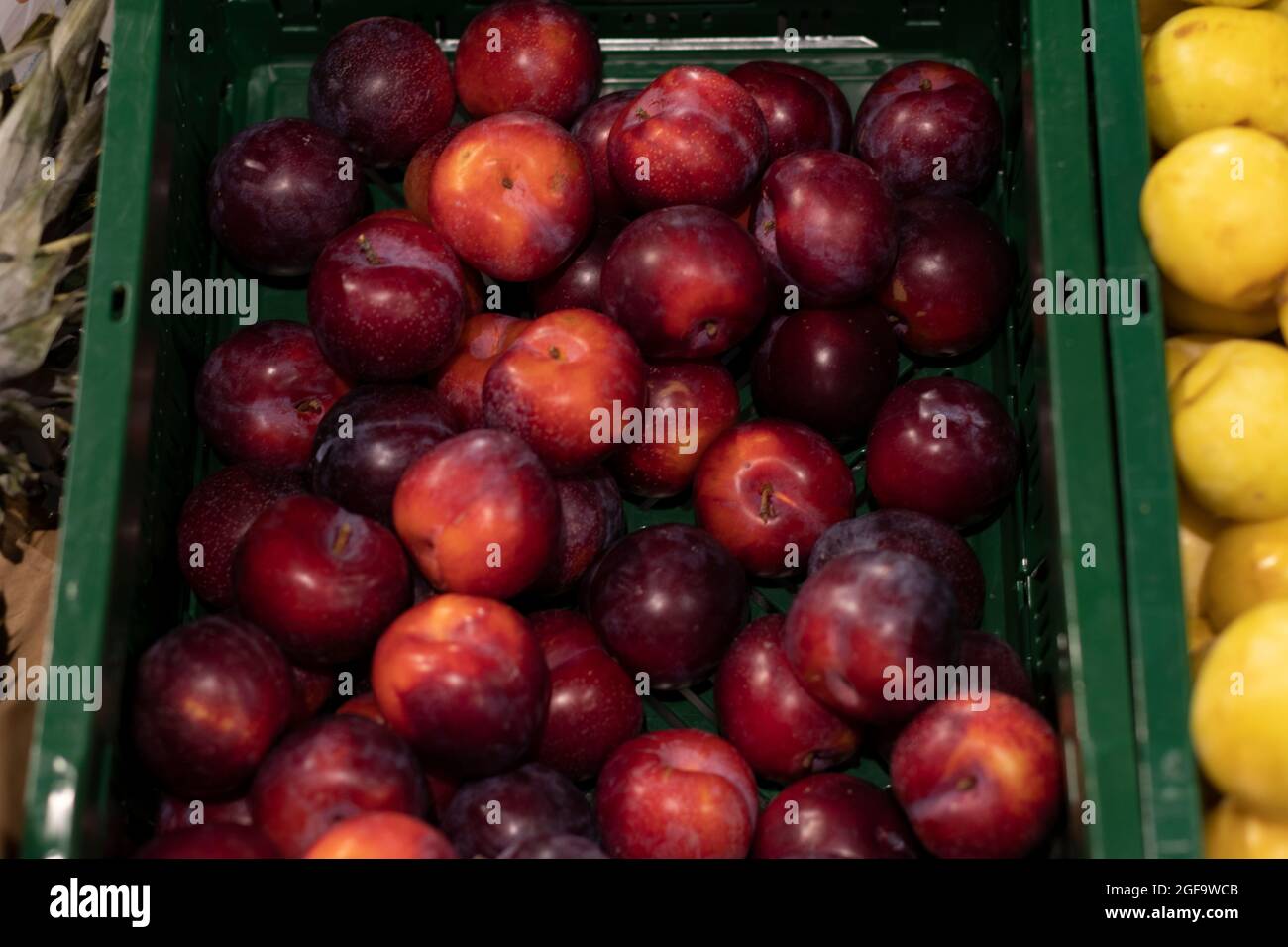 Red plums as a background, in a market. Stock Photo