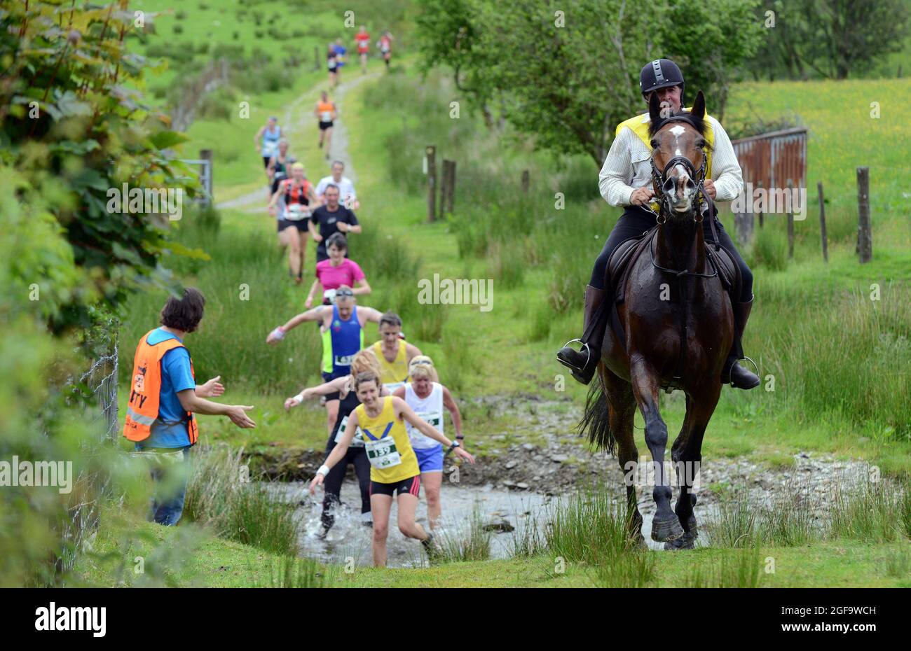 Whole Earth Man v Horse endurance race 2014, Llanwrtyd Wells, Powys. Runners compete against Horses on a 22 mile cross country event. Pic Sam Bagnall Stock Photo