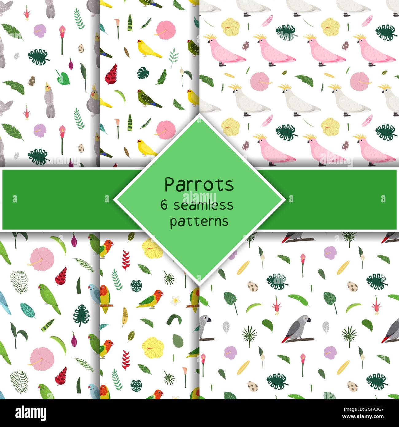Parrot Pattern Background Parrot seamless pattern collection in cartoon style. Parrots kakariki ...