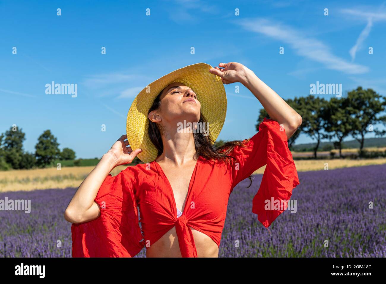 Portrait of a woman playing with her straw hat in a lavender field. She closes her eyes and smells the delicious scent of lavender flowers in the air. Stock Photo