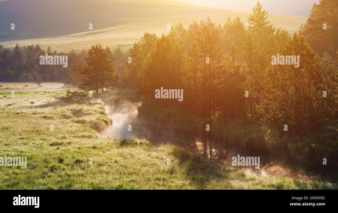 Beautiful sunrise at Zlatibor Vodice region, sunlight over white pines and valley creek, amazing untamed nature scenery Stock Photo