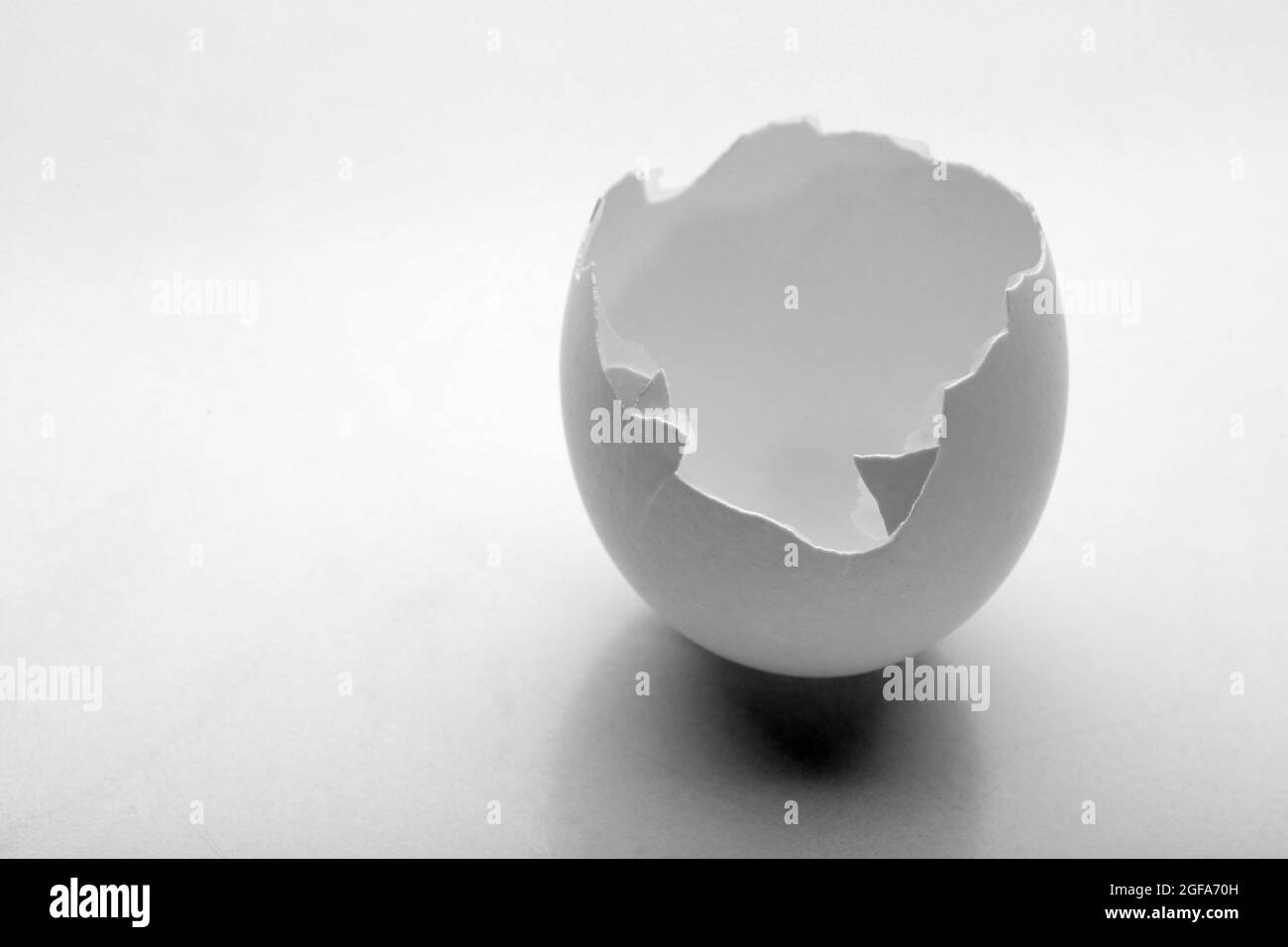 Cracked egg shell isolated on white Stock Photo Alamy