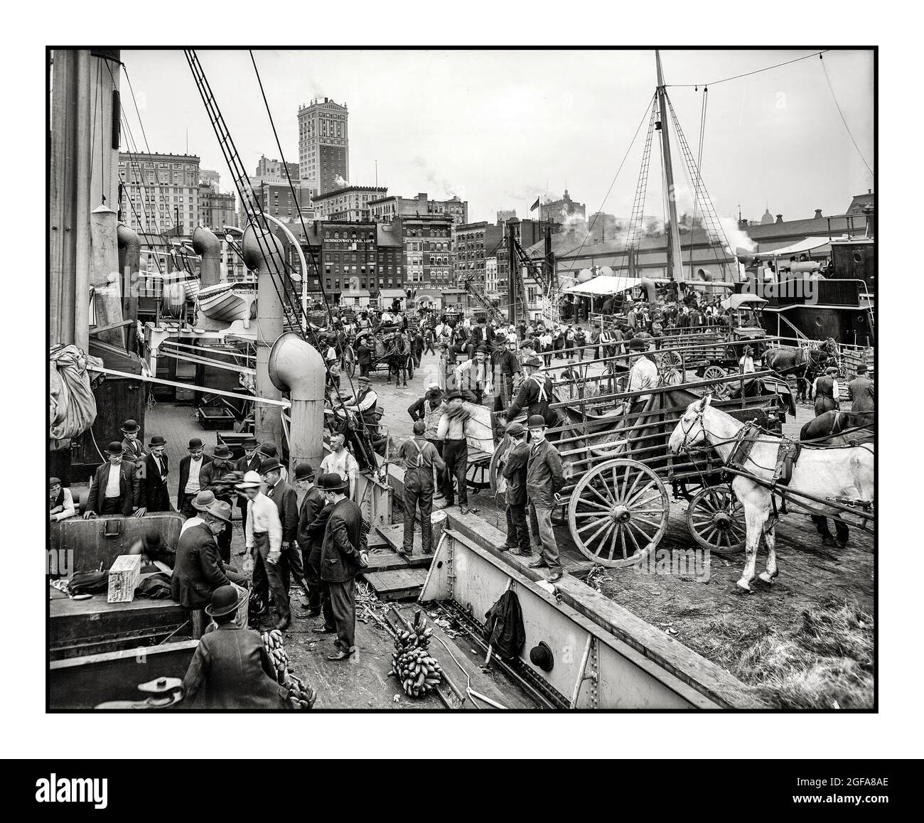 Vintage 1900s Banana docks unloading New York one of the busiest port cities in the world, fruit companies began shipping mass quantities of bananas on ships arriving at the “banana docks” at the Old Slip piers near Wall Street. ca. 1890-1910.  New York America USA Stock Photo