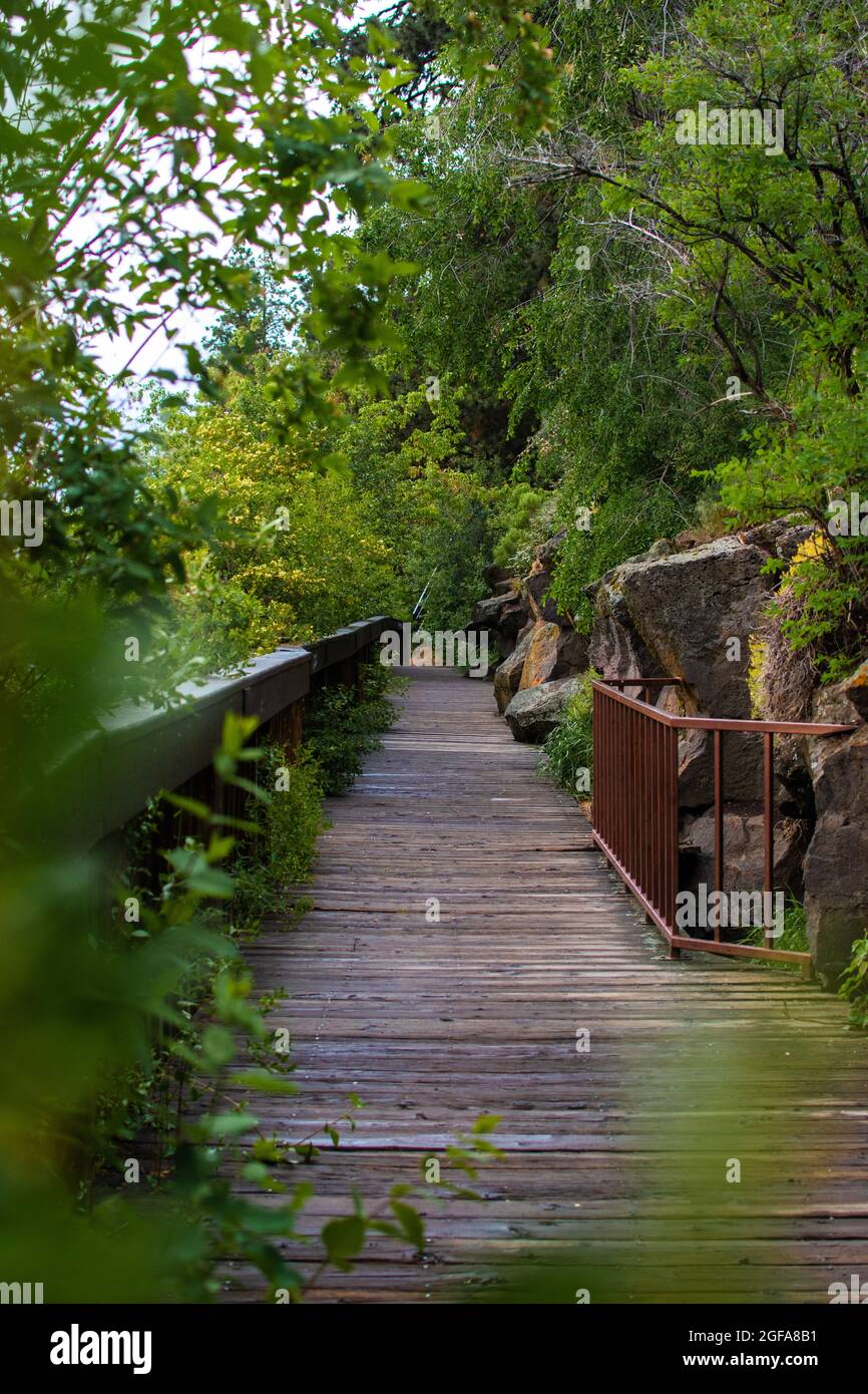 Walkway in Oregon park surrounded by nature Stock Photo