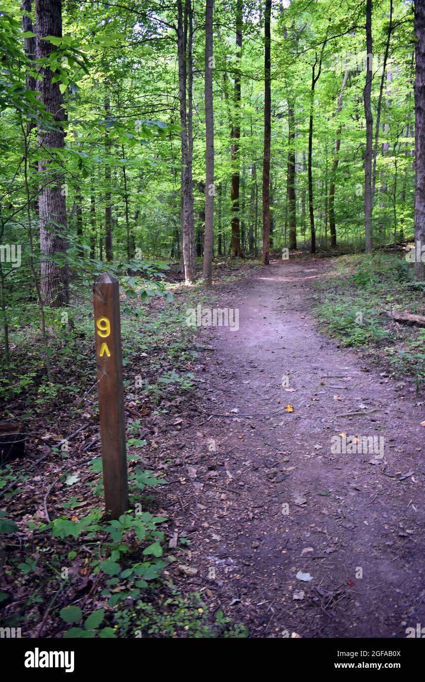 A hiking trail winding through the woods with a wooden signpost with the number 9 by the side of the trail. Stock Photo