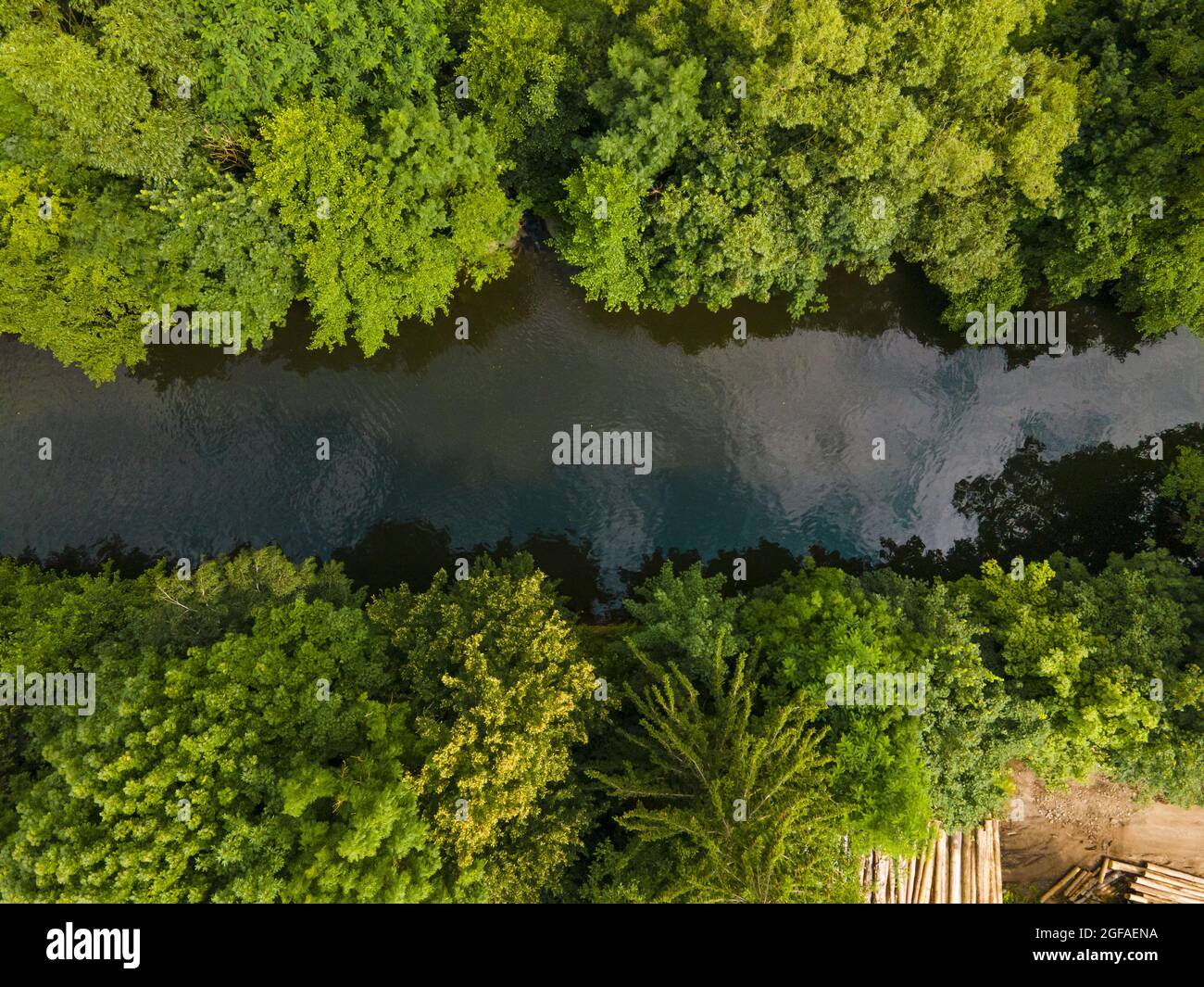 Aerial view of a river in a green forest Stock Photo - Alamy