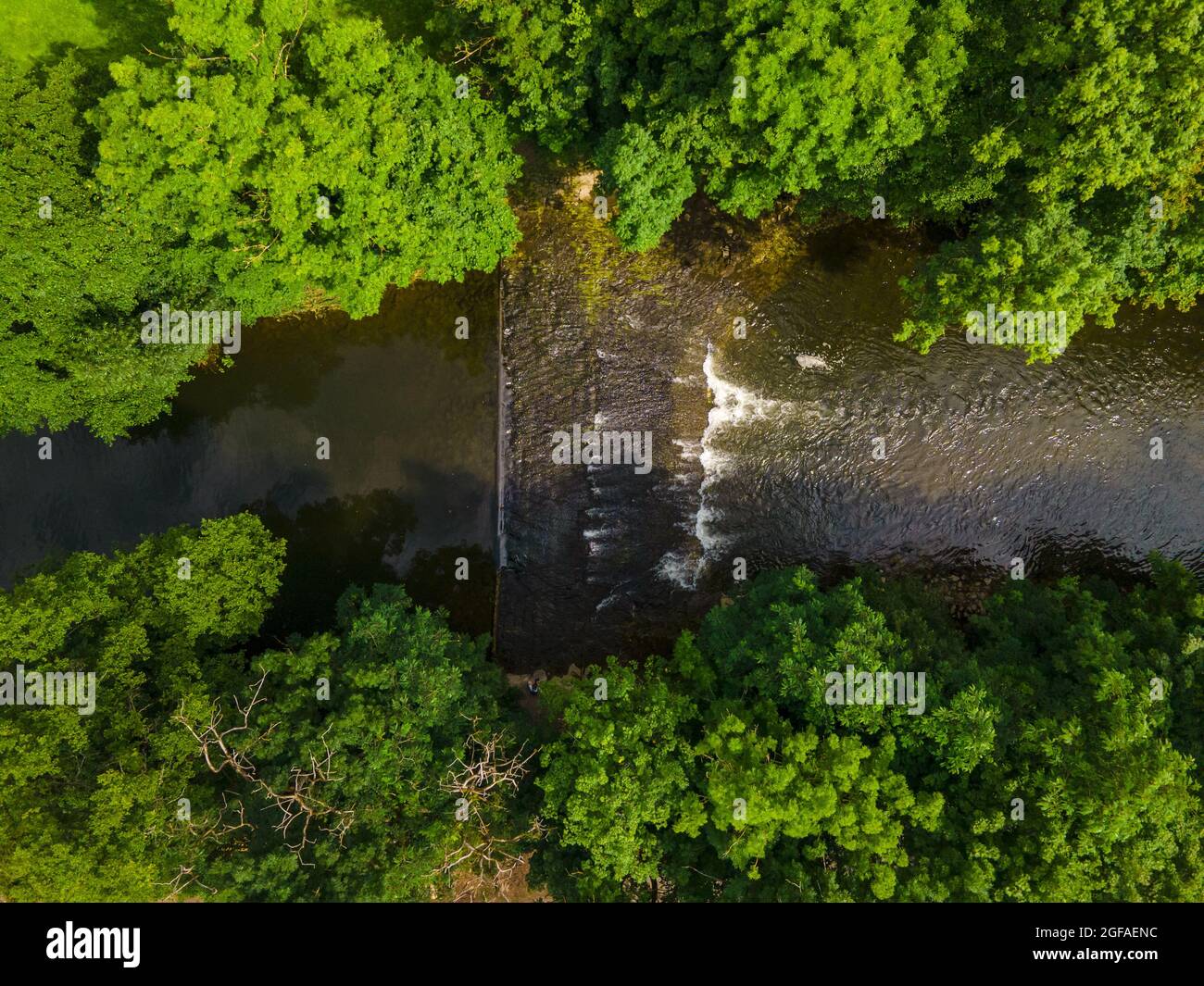 Aerial view of a river in a green forest Stock Photo - Alamy