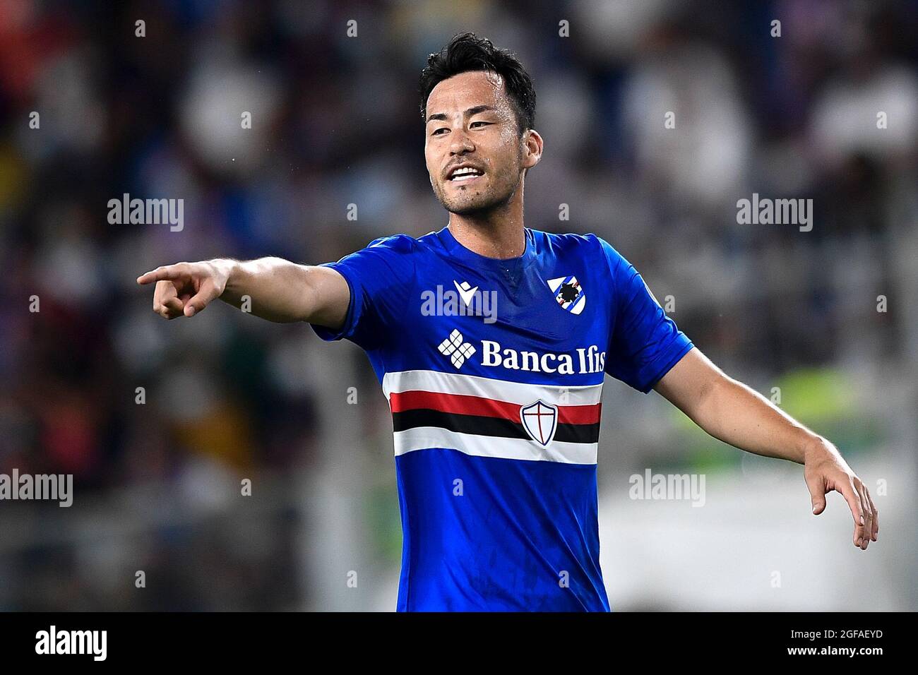 Maya yoshida hi-res stock photography and images - Alamy