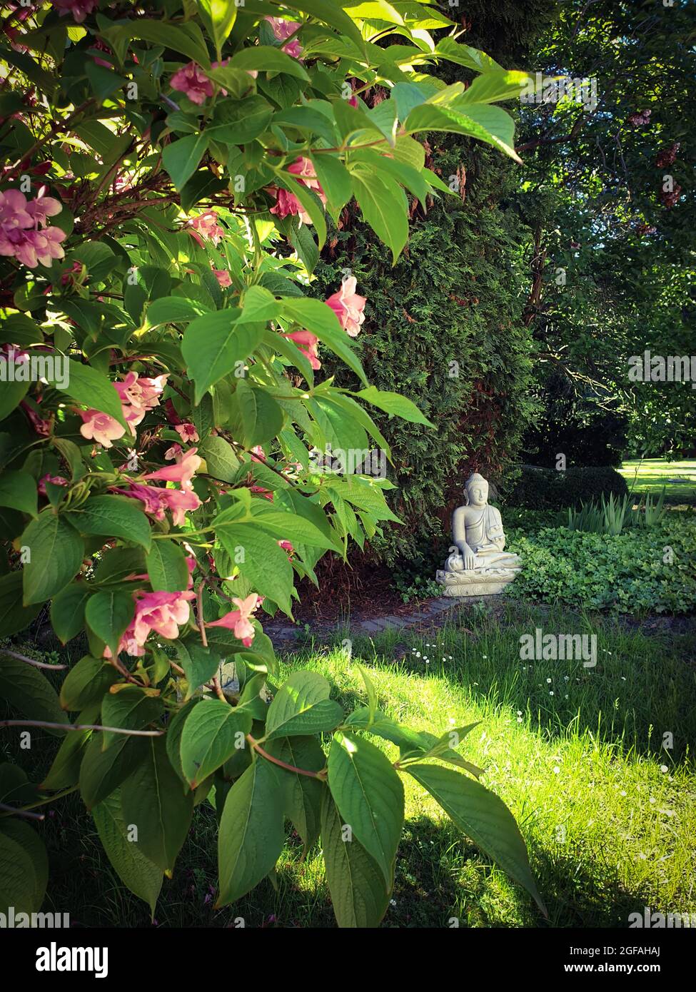 Buddha im Garten Stock Photo Alamy
