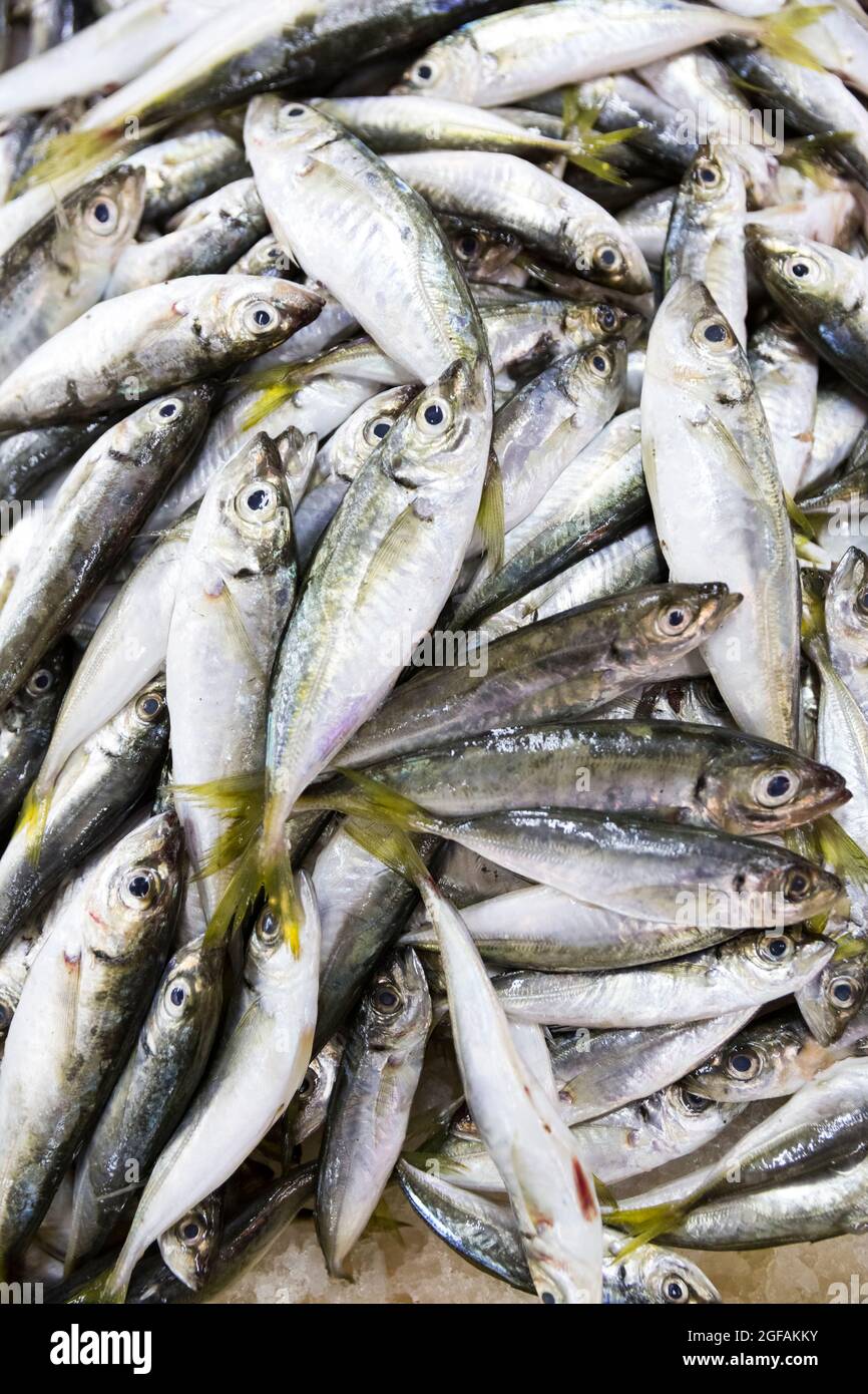 Fresh seafood market in Batumi Live fish in ice Stock Photo