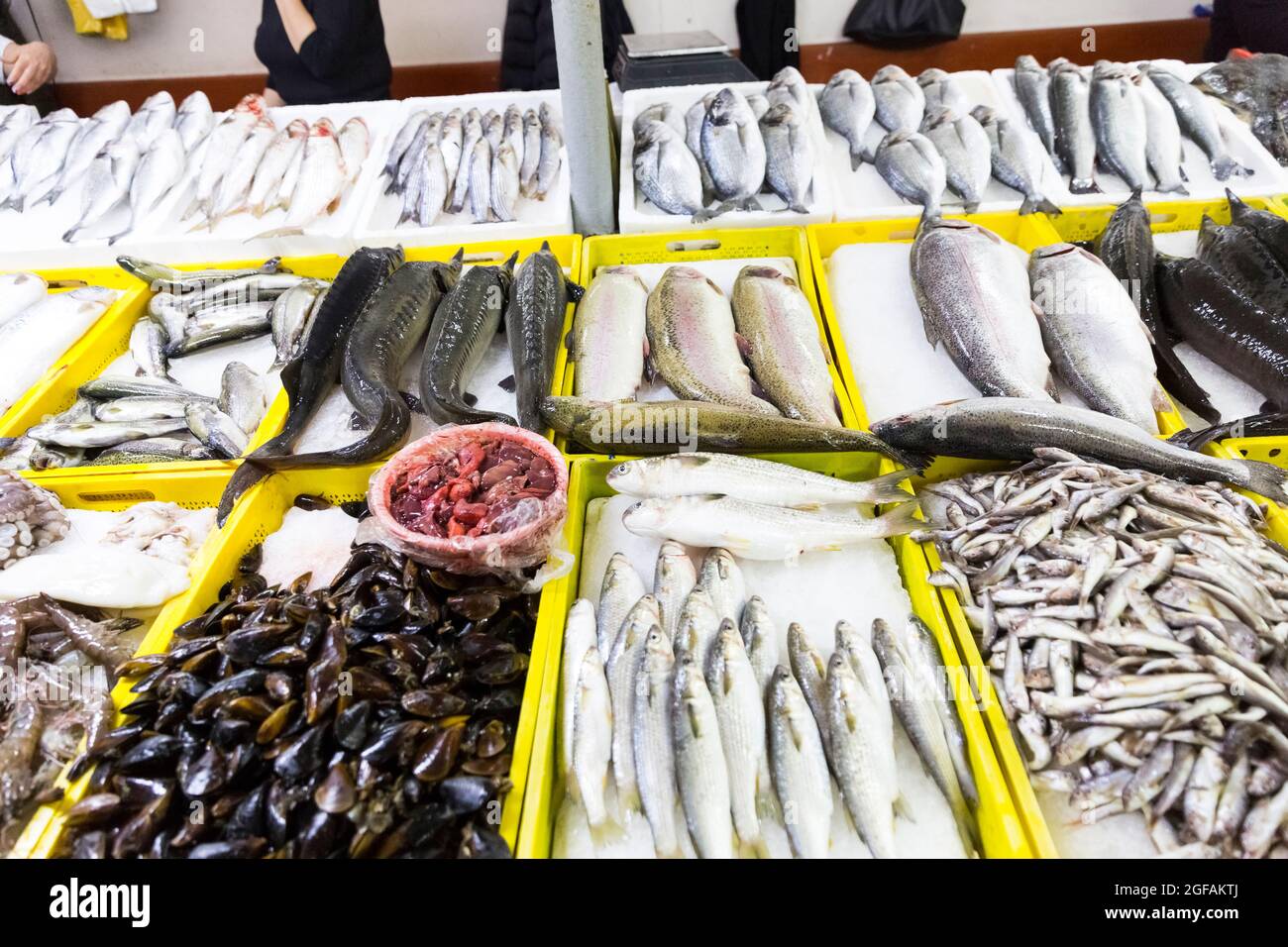 Fresh seafood market in Batumi Live fish in ice Stock Photo