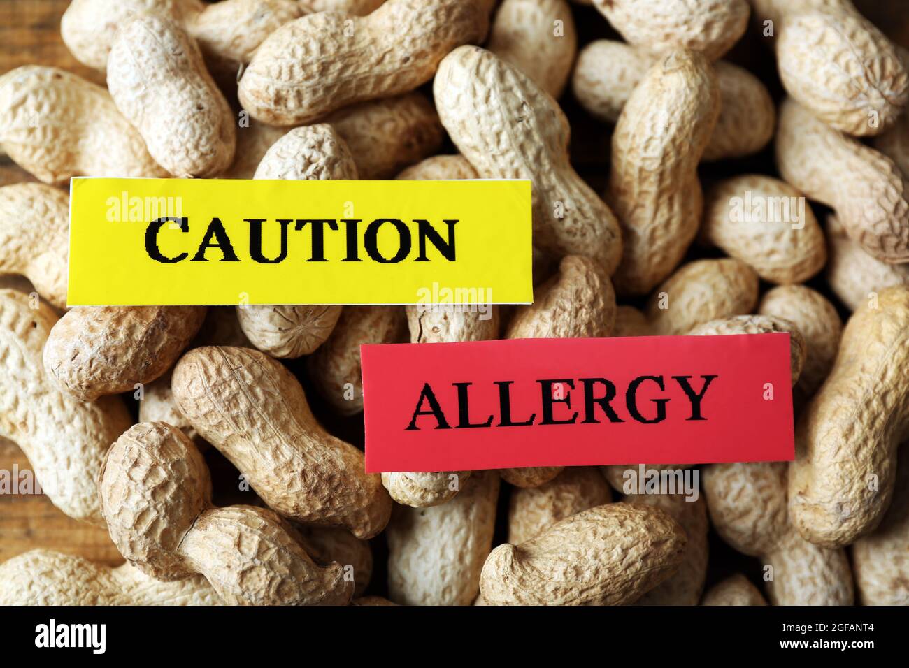 Allergy food concept. Pile of hazelnuts closeup Stock Photo Alamy