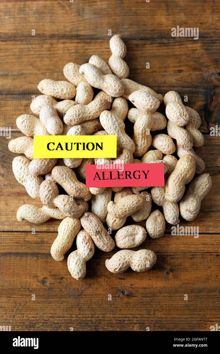 Allergy food concept. Pile of hazelnuts on wooden background Stock