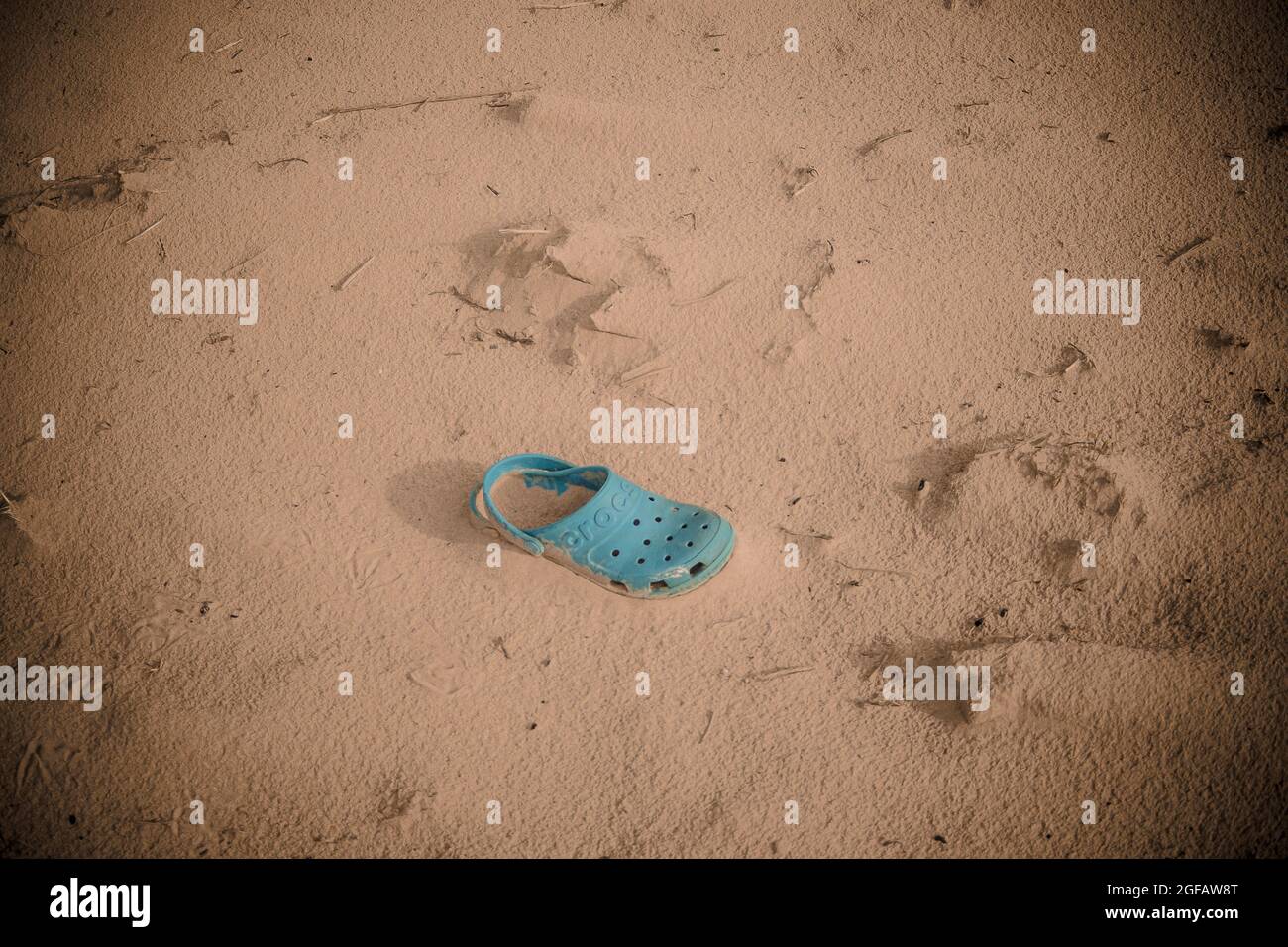 Turquoise classic croc clog abandoned on sand dunes. The 'digital aqua' colored shoe is partially buried in sand. Stock Photo