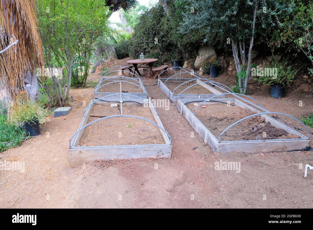 Sunken Nursery Bed Images Cheapest Dealers uecavanis.edu.ec