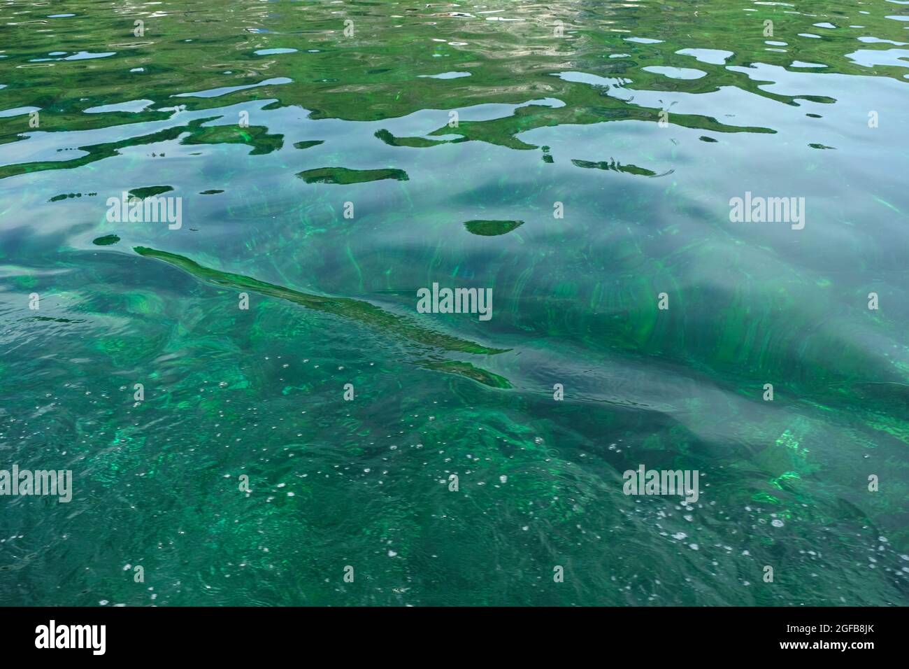 Transparent green blue tones water waves surface as background Stock Photo