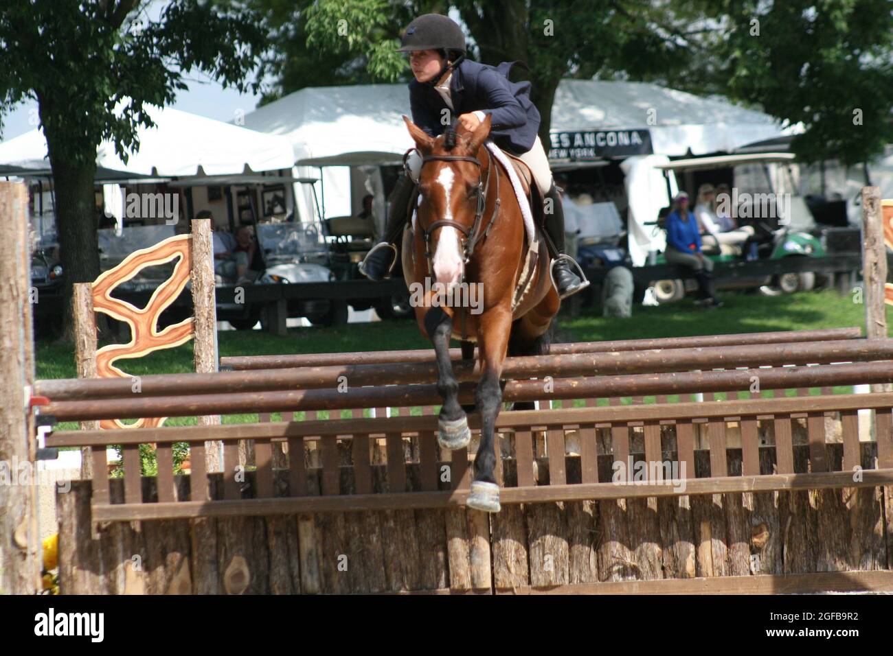 Bluegrass Festival Horse Show 2021 at Kentucky Horse Park-Lexington, Kentucky, USA Stock Photo