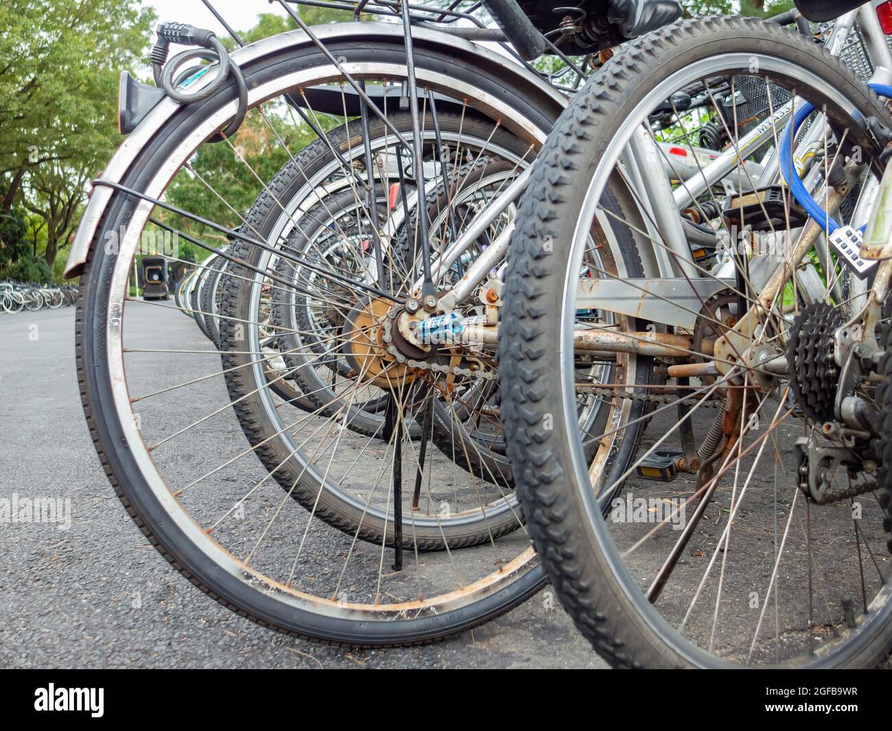 Close up shot of many bicycle in campus of National Taiwan University at Taipei, Taiwan Stock Photo