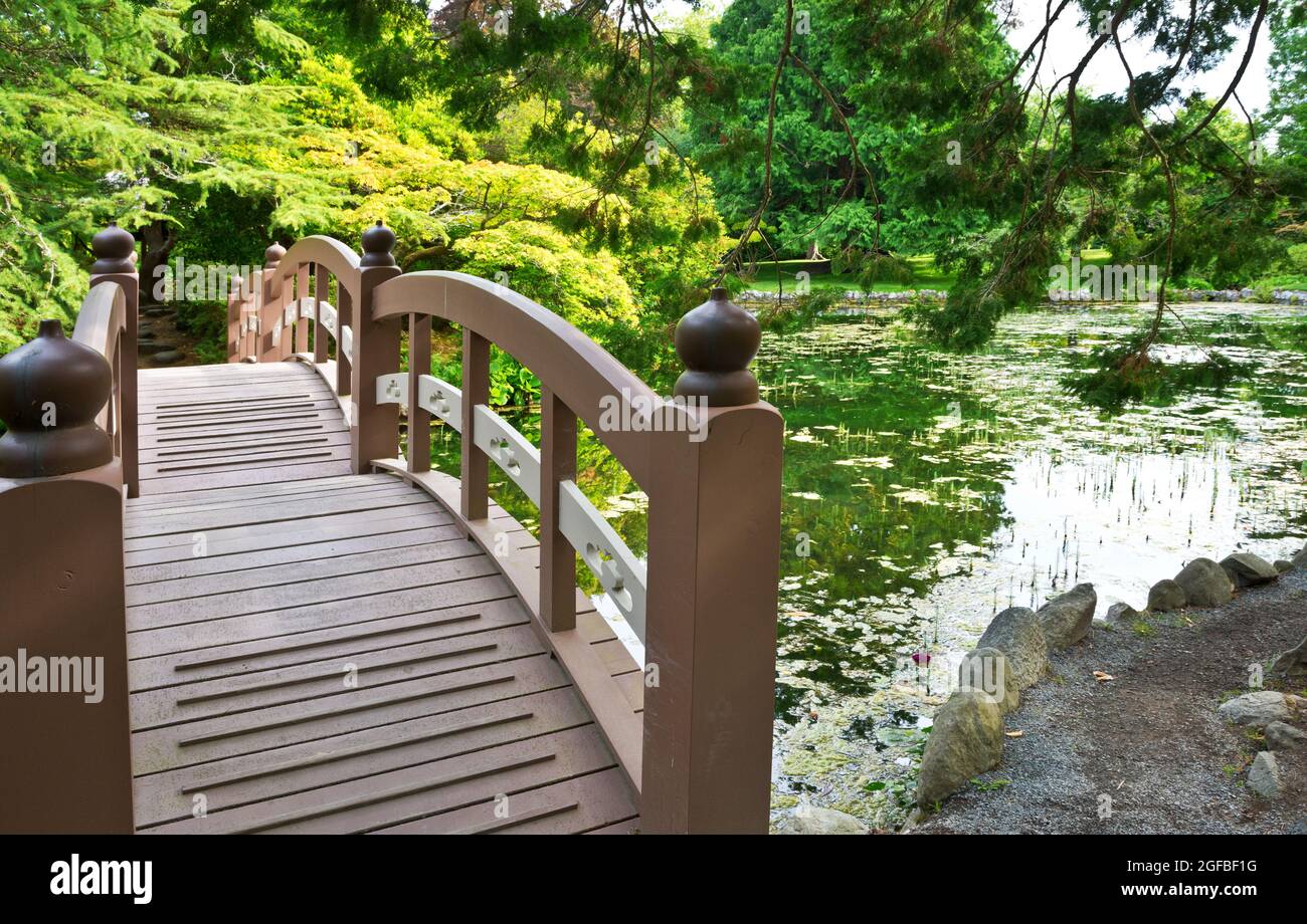 Wooden bridge in the Japanese gardens at Hatley Castle, near Victoria British Columbia Canada. Stock Photo