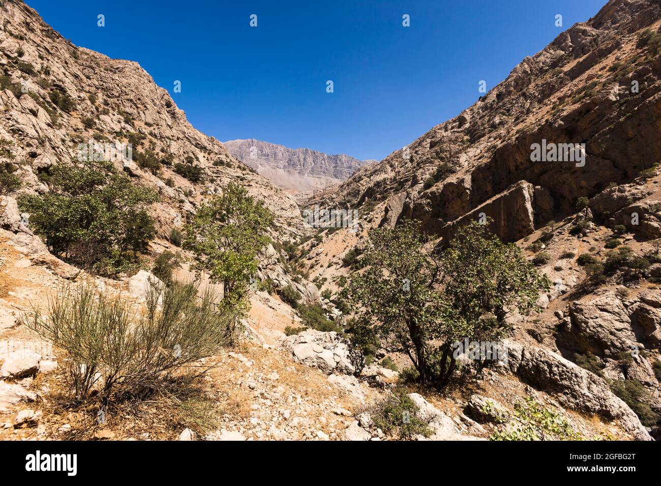 Valley of Zagros mountains, around presumed battle field of 'Persian Gate', Alexander the great, suburb of  Yasuj, Iran, Persia, Western Asia, Asia Stock Photo