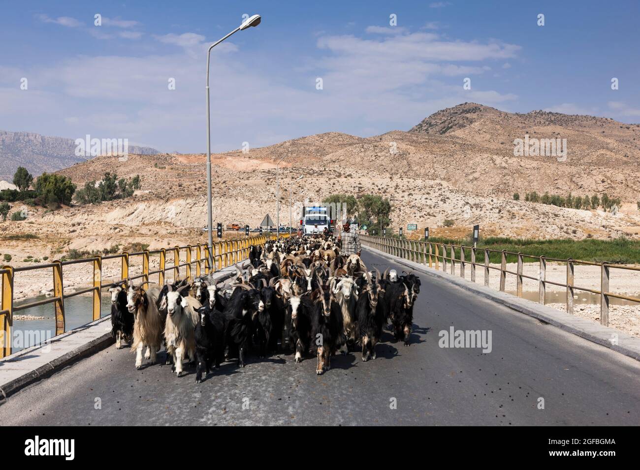 Heavy traffic jam due to a herd of goats on Fahlian bridge, Road 86 near Nourabad, Fars province, Iran, Persia, Western Asia, Asia Stock Photo