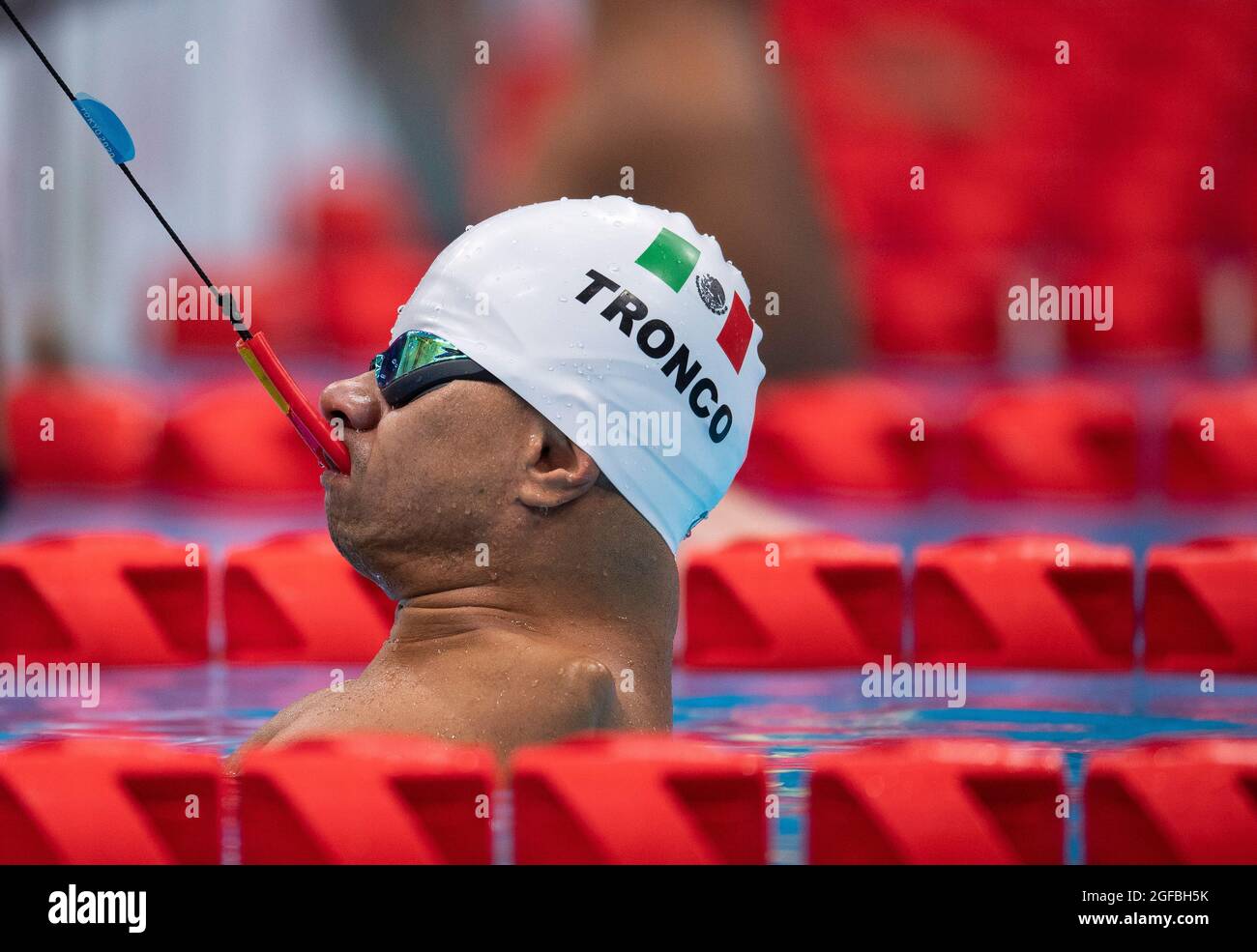 Paralympic swimming start hires stock photography and images Alamy