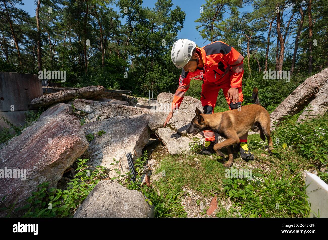Garching, Germany. 21st Aug, 2021. Eric Weiler of the rescue dog squad of the volunteer fire brigade Hochbrück and his six-month-old dog Benji, a Belgian shepherd (Malinois), take part in an exercise of various disaster control organisations on a developed rubble site north of the Bavarian capital. Credit: Peter Kneffel/dpa/Alamy Live News Stock Photo