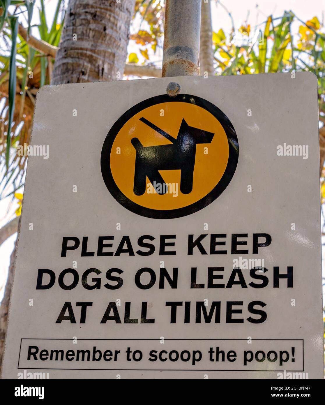 Please keep dogs on leash at all times signage Stock Photo Alamy